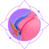 ǹ⻯ Ხ˹ػ